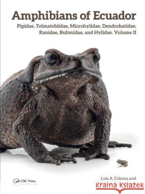 Amphibians of Ecuador: Pipidae, Telmatobiidae, Microhylidae, Dendrobatidae, Ranidae, Bufonidae, and Hylidae, Volume II Luis A. Coloma William E. Duellman 9781032896472 CRC Press - książka