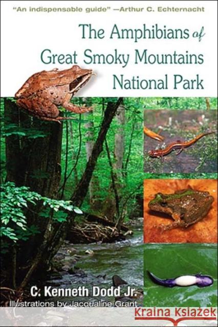 Amphibians of Great Smoky Mountains: National Park Dodd, Kenneth C. 9781572332751 University of Tennessee Press - książka