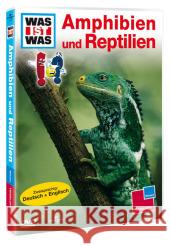 Amphibien und Reptilien, 1 DVD  9783788642372 Tessloff - książka