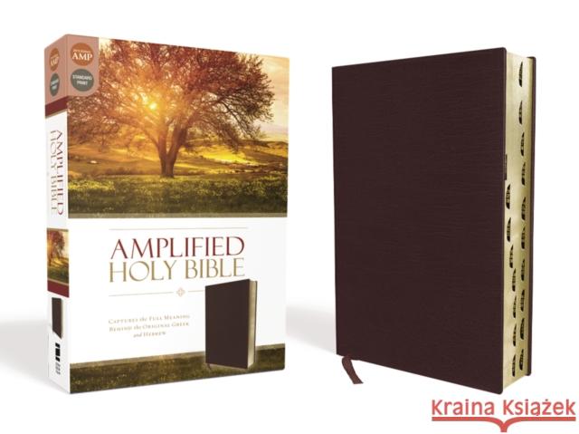 Amplified-Am: Captures the Full Meaning Behind the Original Greek and Hebrew  9780310443957 Zondervan - książka