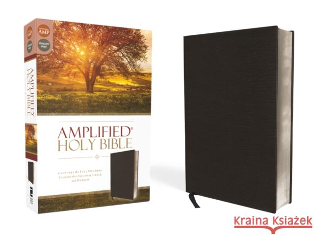 Amplified Bible-Am: Captures the Full Meaning Behind the Original Greek and Hebrew  9780310443926 Zondervan - książka