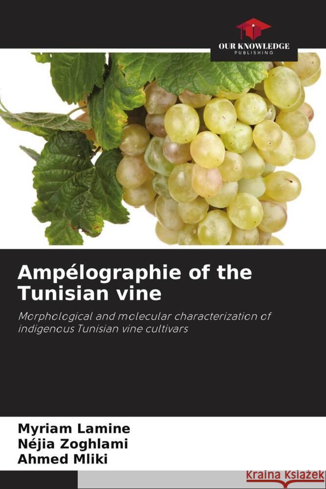 Ampélographie of the Tunisian vine Lamine, Myriam, Zoghlami, Néjia, Mliki, Ahmed 9786204651873 Our Knowledge Publishing - książka