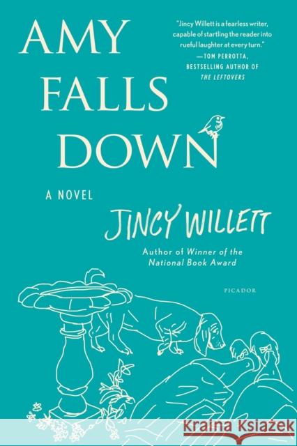 Amy Falls Down Jincy Willett 9781250050250 Picador USA - książka