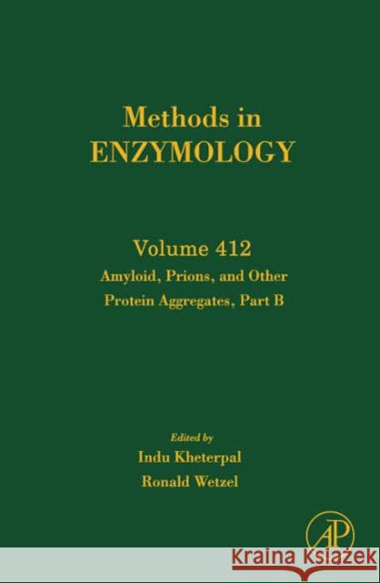 Amyloid, Prions, and Other Protein Aggregates, Part B: Volume 412 Wetzel, Ronald 9780121828172 Academic Press - książka