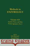 Amyloid, Prions, and Other Protein Aggregates, Part C: Volume 413 Wetzel, Ronald 9780121828189 Academic Press