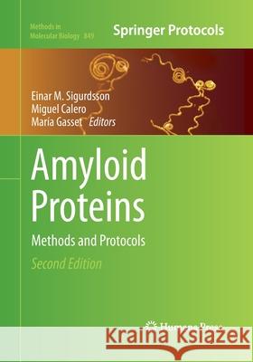 Amyloid Proteins: Methods and Protocols Sigurdsson, Einar M. 9781493956234 Humana Press - książka