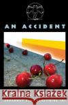 An Accident Lydia Stryk 9780881454765 Broadway Play Publishing Inc