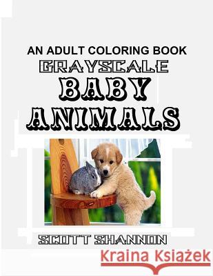 An Adult Coloring Book - Grayscale Baby Animals Scott Shannon 9781533273000 Createspace Independent Publishing Platform - książka