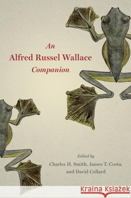 An Alfred Russel Wallace Companion Charles H. Smith James Costa David A. Collard 9780226622101 University of Chicago Press - książka