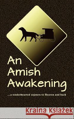 An Amish Awakening: a tenderhearted sojourn to Heaven and back Leland, Rick 9780983362463 Free Store Books - książka