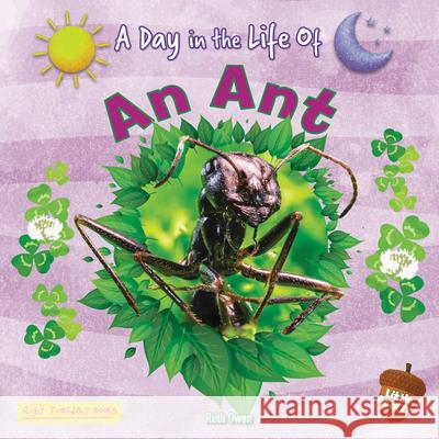 An Ant Ruth Owen 9781788564922 Ruby Tuesday Books - książka