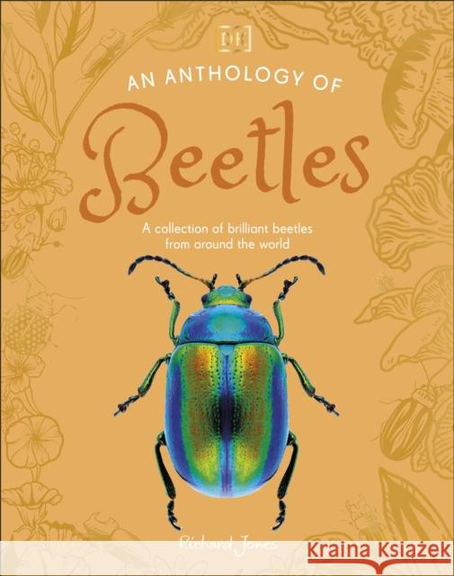 An Anthology of Beetles: A Collection of Brilliant Beetles from Around the World Richard Jones 9780241725306 Dorling Kindersley Ltd - książka