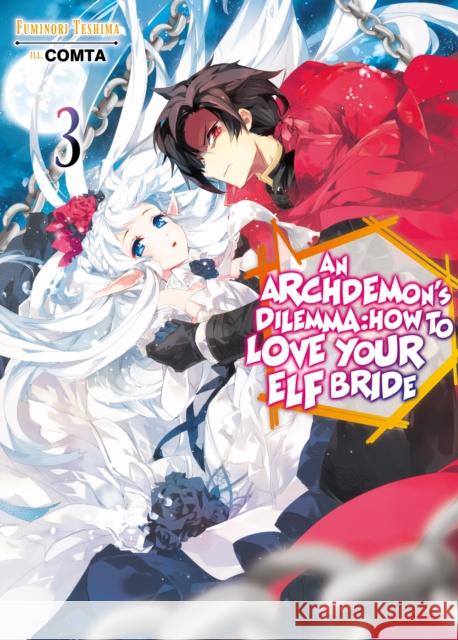 An Archdemon's Dilemma: How to Love Your Elf Bride: Volume 3 Fuminori Teshima Comta                                    Hikoki 9781718357020 J-Novel Club - książka