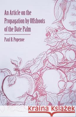 An Article on the Propagation by Offshoots of the Date Palm Paul B. Popenoe 9781446536780 Addison Press - książka