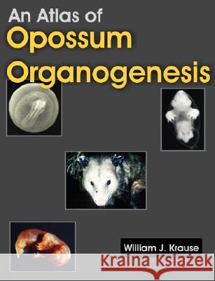 An Atlas of Opossum Organogenesis: Opossum Development Krause, William J. 9781581129694 Universal Publishers - książka