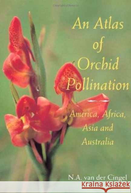 An Atlas of Orchid Pollination : European Orchids    9789054104865 Taylor & Francis - książka