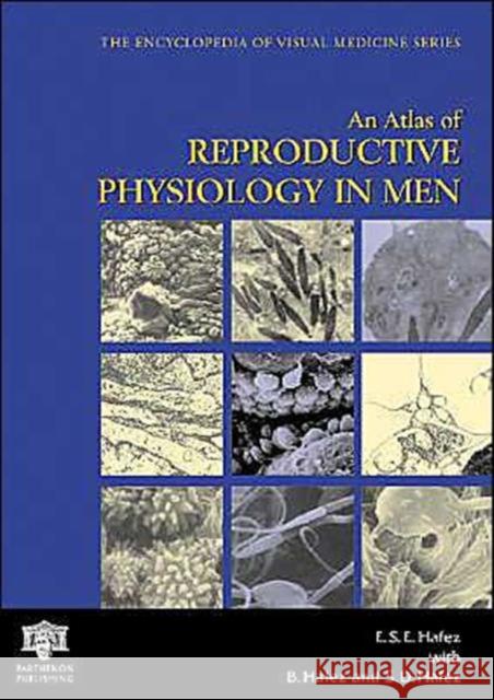 An Atlas of Reproductive Physiology in Men E. S. E. Hafez B. Hafez S. D. Hafez 9781842142356 Taylor & Francis Group - książka