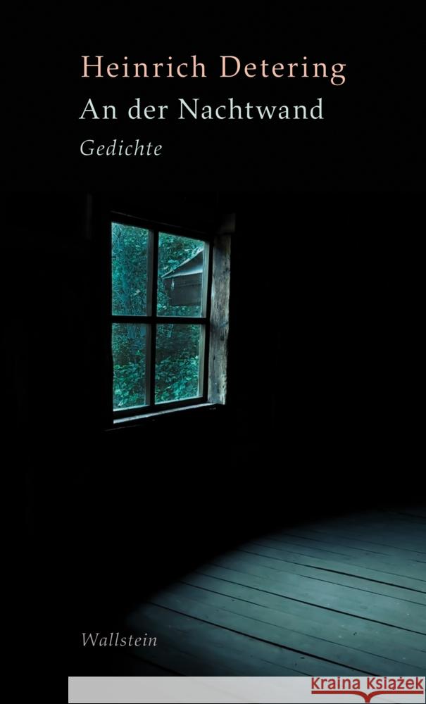 An der Nachtwand Detering, Heinrich 9783835353527 Wallstein - książka
