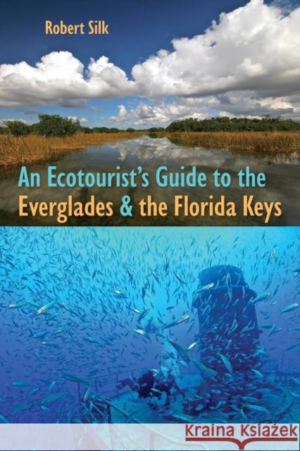 An Ecotourist's Guide to the Everglades and the Florida Keys Robert Silk 9780813062655 University Press of Florida - książka