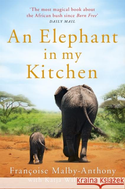 An Elephant in My Kitchen: What the Herd Taught Me about Love, Courage and Survival Katja Willemsen 9781509864928 Pan Macmillan - książka