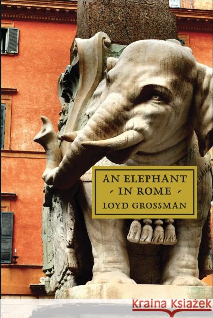 An Elephant in Rome: The Pope and the Making of the Eternal City Loyd Grossman 9781843681939 Pallas Athene Publishers - książka