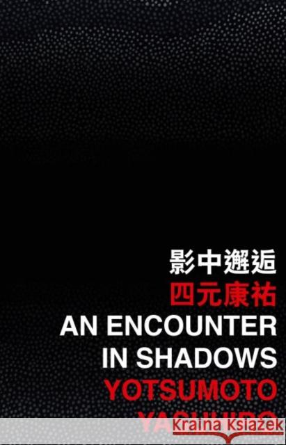An Encounter in Shadows Yasuhiro Yotsumoto   9789882371668 The Chinese University Press - książka