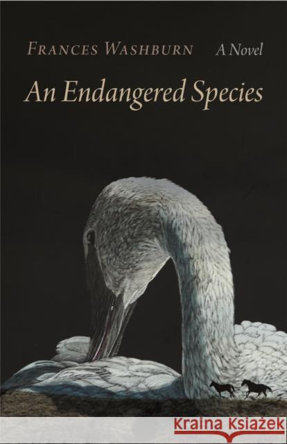 An Endangered Species Frances Washburn 9781496238672 University of Nebraska Press - książka