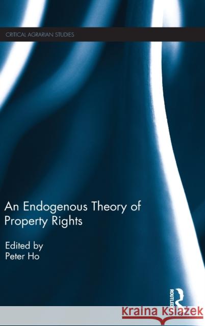 An Endogenous Theory of Property Rights Peter Ho 9781138081147 Routledge - książka