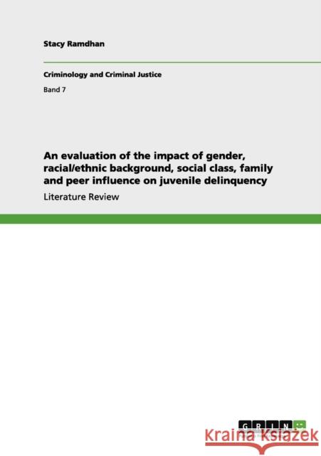 An evaluation of the impact of gender, racial/ethnic background, social class, family and peer influence on juvenile delinquency Stacy Ramdhan 9783640967193 Grin Verlag - książka