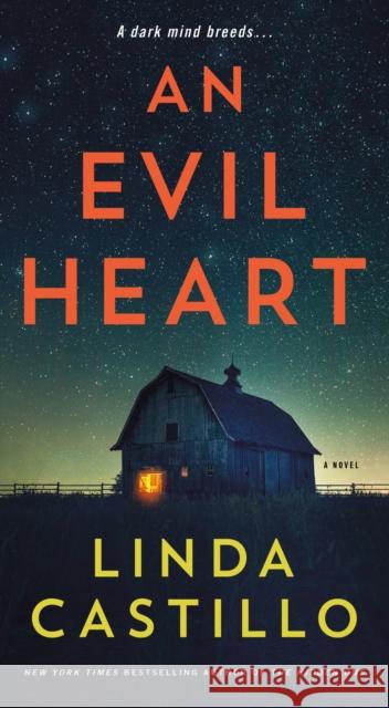 An Evil Heart: A Novel Linda Castillo 9781250781109 Minotaur Books - książka