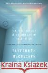 An Exact Replica of a Figment of My Imagination Elizabeth McCracken 9780316027663 Back Bay Books