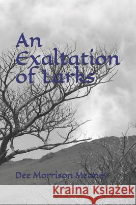 An Exaltation of Larks: Book 3 Crone Dee Morrison Meaney 9781793923028 Independently Published - książka