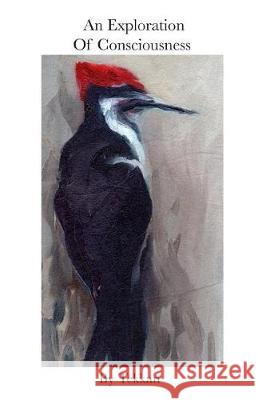 An Exploration of Consciousness Tekkan 9780999772843 Laura Paulisich - książka