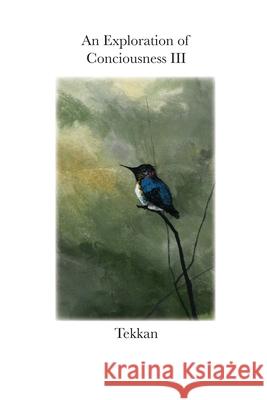 An Exploration of Consciousness III Tekkan 9781734351071 Barry MacDonald - książka