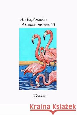 An Exploration of Consciousness VI Tekkan 9781736353790 Barry MacDonald - książka