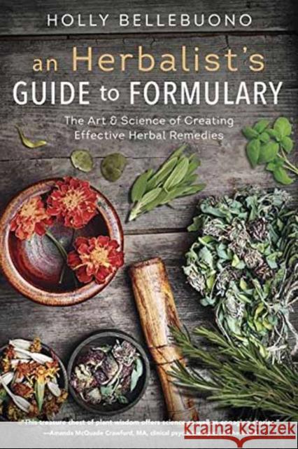 An Herbalist's Guide to Formulary: The Art & Science of Creating Effective Herbal Remedies Holly Bellebuono 9780738753034 Llewellyn Publications - książka