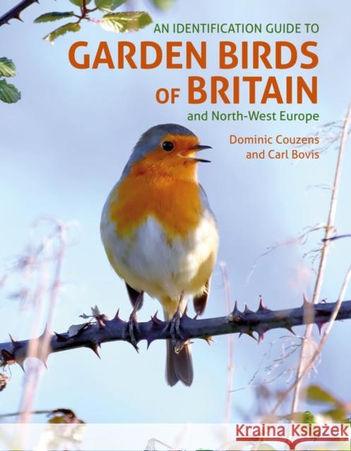 An ID Guide to Garden Birds of Britain: and North-West Europe Dominic Couzens 9781913679330 John Beaufoy Publishing Ltd - książka