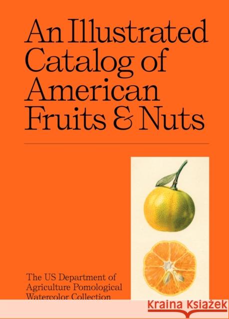An Illustrated Catalog of American Fruits & Nuts US Department of Agriculture Pomological Watercolor Collection 9781454963530 Union Square & Co. - książka