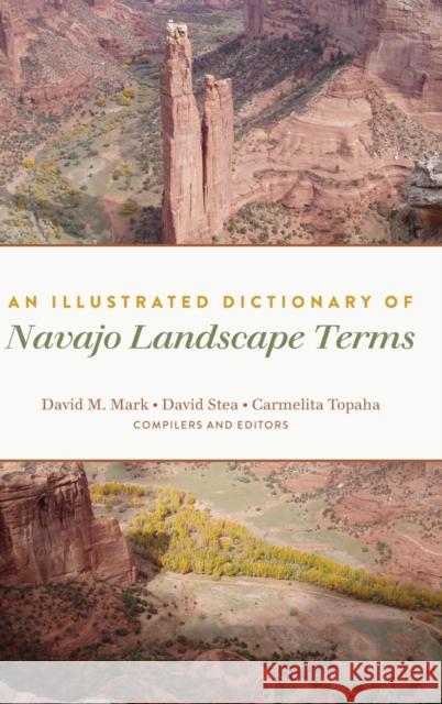 An Illustrated Dictionary of Navajo Landscape Terms David M. Mark David Stea Carmelita Topaha 9781433160578 Peter Lang Inc., International Academic Publi - książka