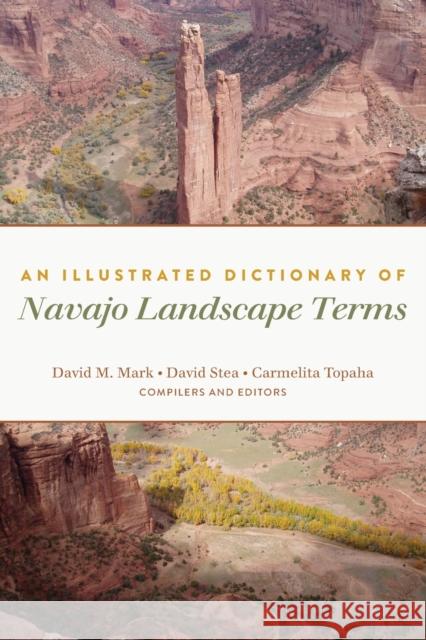 An Illustrated Dictionary of Navajo Landscape Terms David M. Mark David Stea Carmelita Topaha 9781433160585 Peter Lang Inc., International Academic Publi - książka