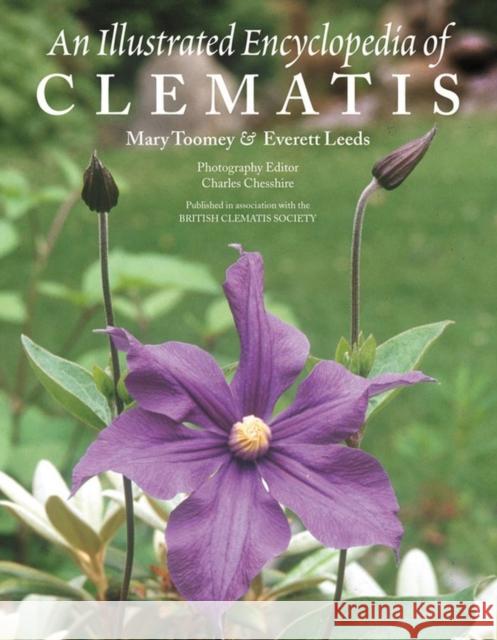 An Illustrated Encyclopedia of Clematis Everett Leeds Mary K. Toomey 9781604692037 Timber Press (OR) - książka