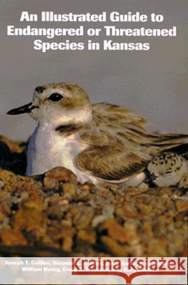 An Illustrated Guide to Endangered or Threatened Species in Kansas Collins, Joseph T. 9780700607266 University Press of Kansas - książka