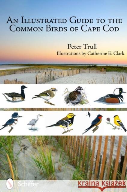 An Illustrated Guide to the Common Birds of Cape Cod Peter Trull 9780764338779 Schiffer Publishing - książka