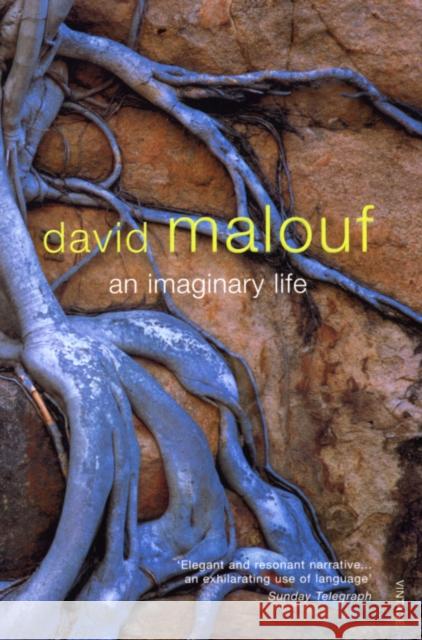 An Imaginary Life David Malouf 9780099273844 Vintage Publishing - książka