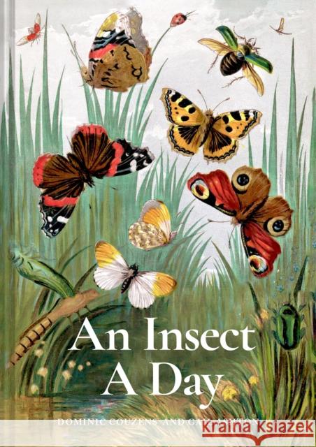 An Insect A Day Gail Ashton 9781849947947 Batsford Ltd - książka
