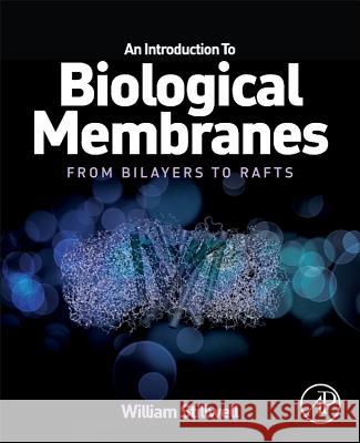 An Introduction to Biological Membranes: From Bilayers to Rafts William Stillwell 9780444521538 ELSEVIER SCIENCE - książka