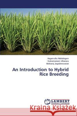 An Introduction to Hybrid Rice Breeding Mahalingam Angamuthu                     Utharasu Subramaniam                     Jegadeeswaran Mokkaraj 9783659514272 LAP Lambert Academic Publishing - książka