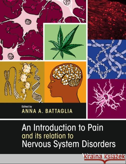 An Introduction to Pain and Its Relation to Nervous System Disorders Battaglia, Anna A. 9781118455975 John Wiley & Sons - książka