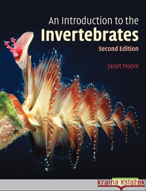 An Introduction to the Invertebrates Janet Moore 9780521674065  - książka