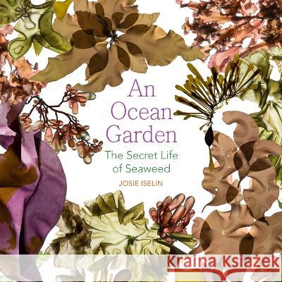 An Ocean Garden: The Secret Life of Seaweed Josie Iselin 9780870712395 Oregon State University Press - książka